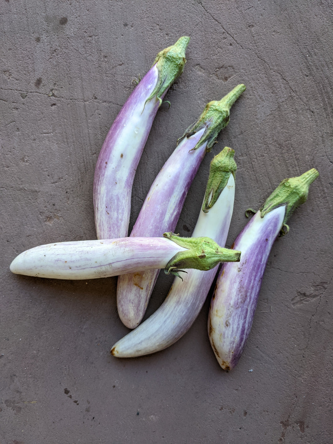 Add on - Bride eggplant 400g