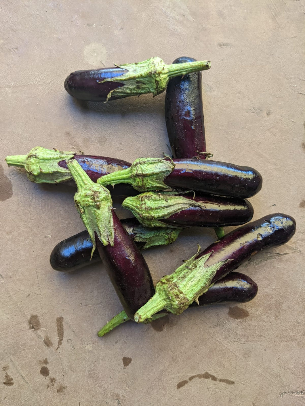 Add on - Hansel eggplant 400g
