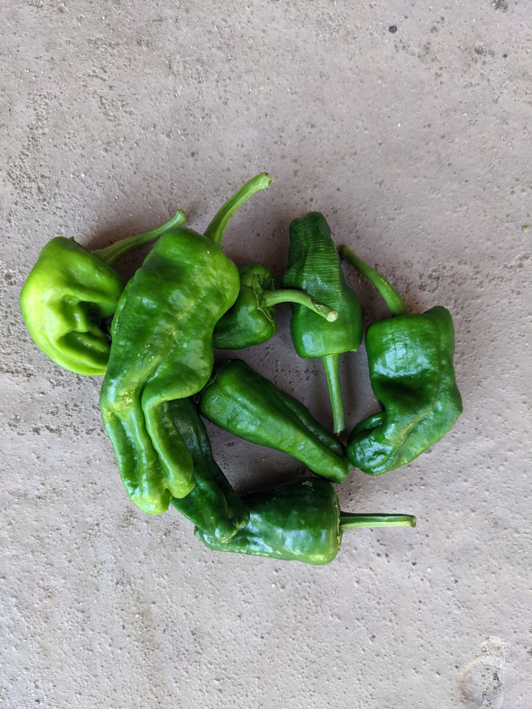 Add On- Padron pepper 400g